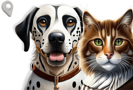 Volte à loja para ver nossos produtos