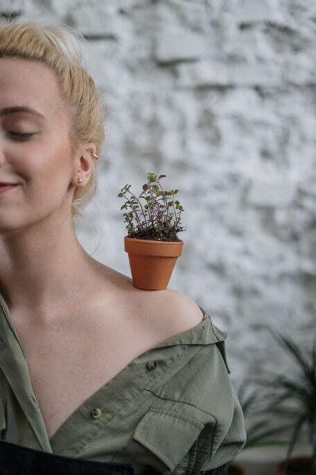 Planta mais Saudável em novo Vaso