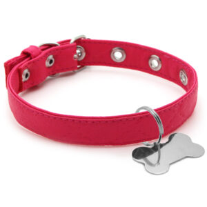 Coleira para Cães